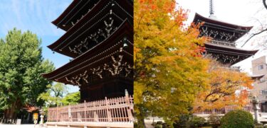 飛騨国分寺と三重塔の歴史｜パワースポット巡りに最適