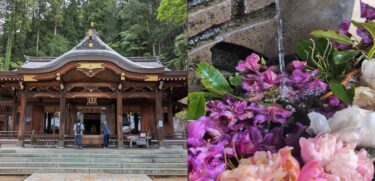 飛騨高山の歴史と信仰を感じる桜山八幡宮｜高山祭ゆかりのパワースポットを徹底紹介